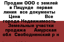 Продам ООО с землей в Пицунде, первая линия, все документы › Цена ­ 9 000 000 - Все города Недвижимость » Земельные участки продажа   . Амурская обл.,Свободненский р-н